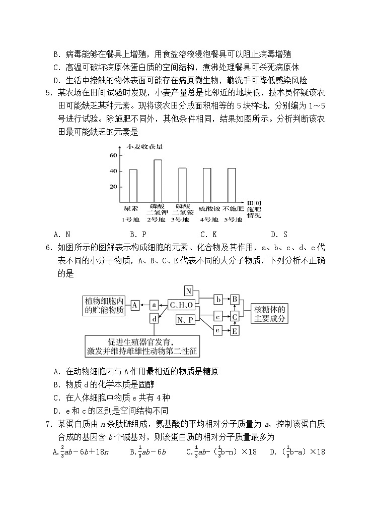 安徽省怀宁县第二中学2024-2025学年高三上学期第二次月考生物试卷第2页