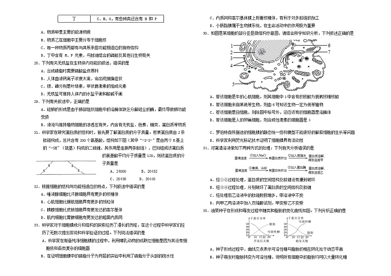 吉林省吉林市田家炳高级中学2024-2025学年高一上学期期中考试生物试题第3页