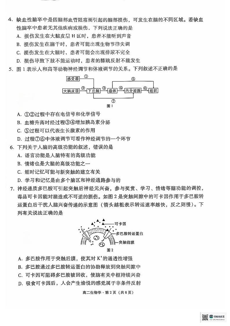 2024.10.23月考高二生物学试卷第2页
