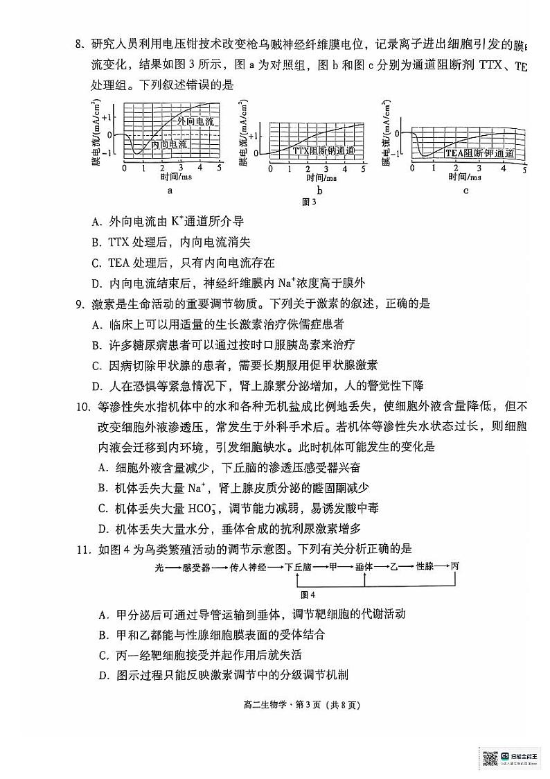 2024.10.23月考高二生物学试卷第3页