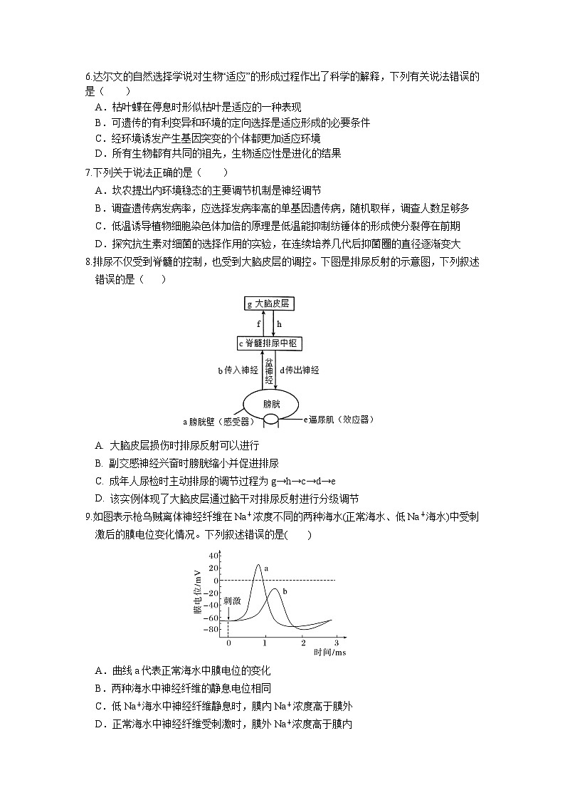 鹤山一中2024-2025学年度第一学期第一阶段考试 高二生物试卷第2页