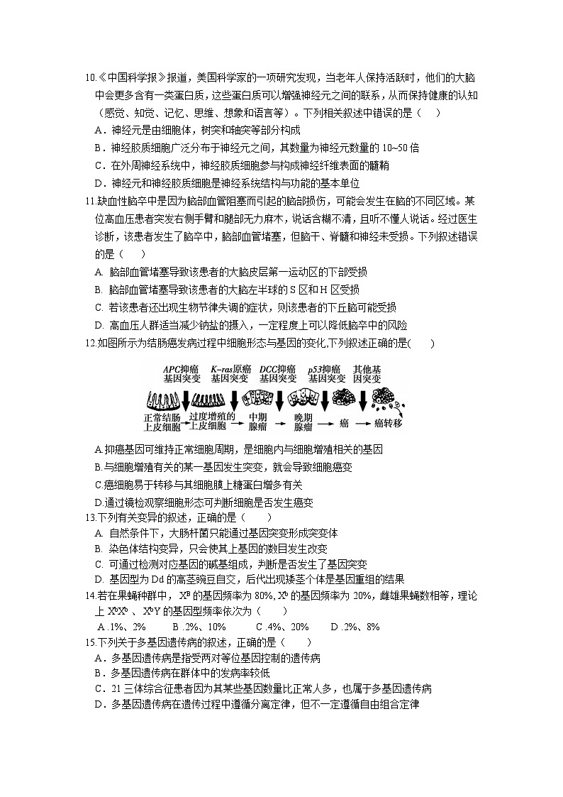 鹤山一中2024-2025学年度第一学期第一阶段考试 高二生物试卷第3页