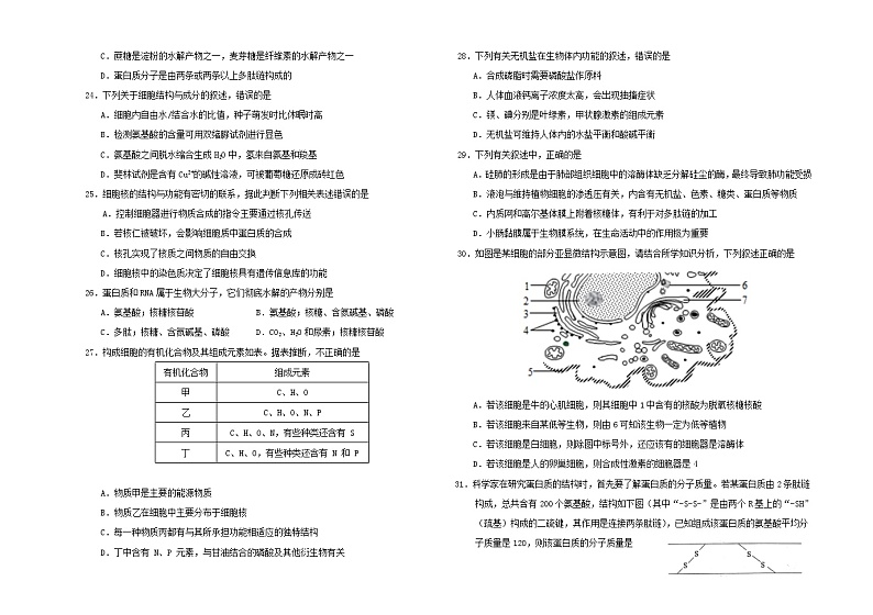 吉林省吉林市田家炳高级中学2024-2025学年高一上学期期中考试生物试题第3页