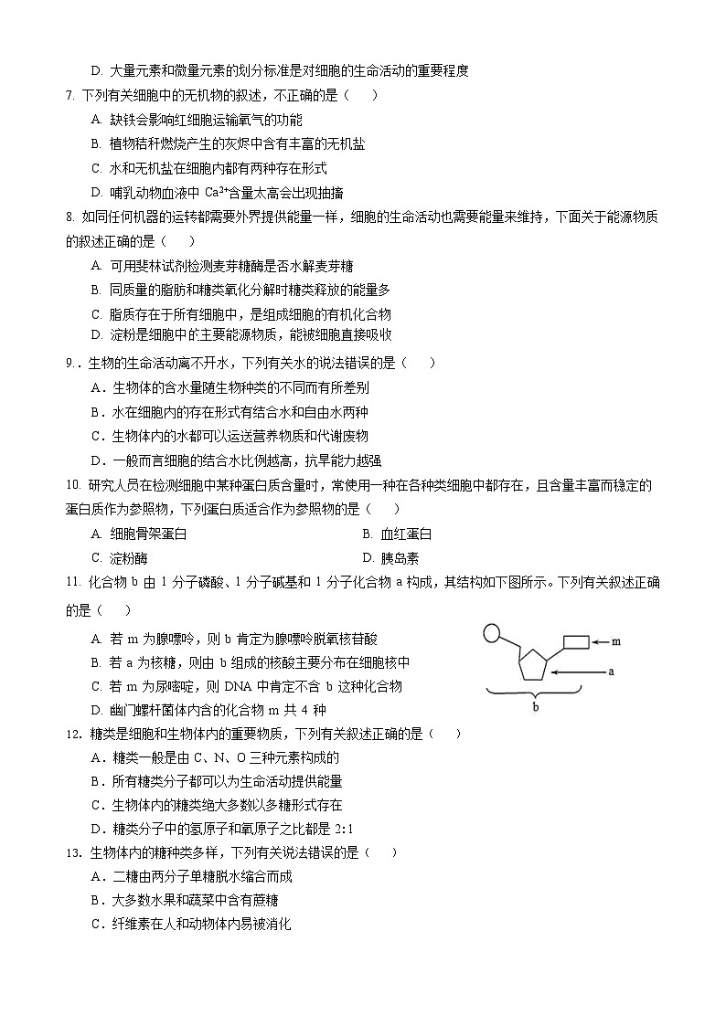 四川省眉山市车城中学2024-2025学年高一上学期期中考试生物试卷第2页