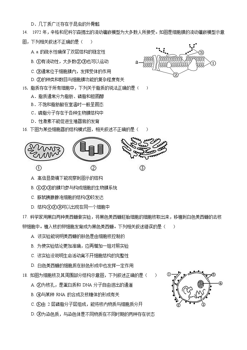 四川省眉山市车城中学2024-2025学年高一上学期期中考试生物试卷第3页