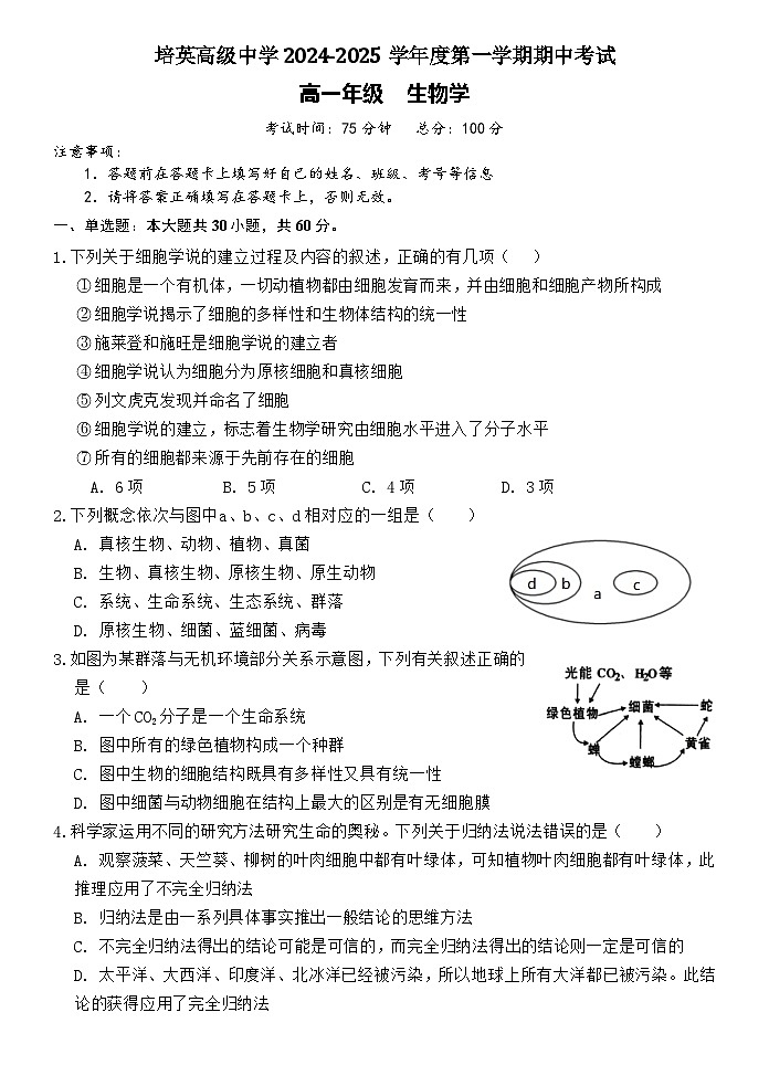 广东省江门市培英高级中学2024-2025学年高一上学期期中考试生物试题01