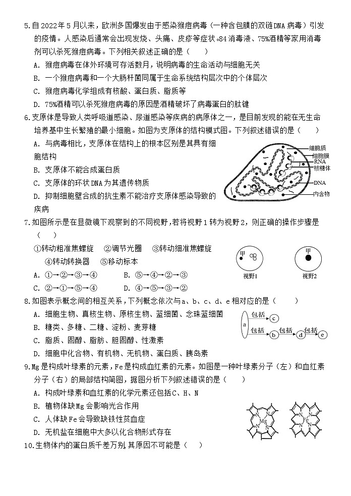 广东省江门市培英高级中学2024-2025学年高一上学期期中考试生物试题02