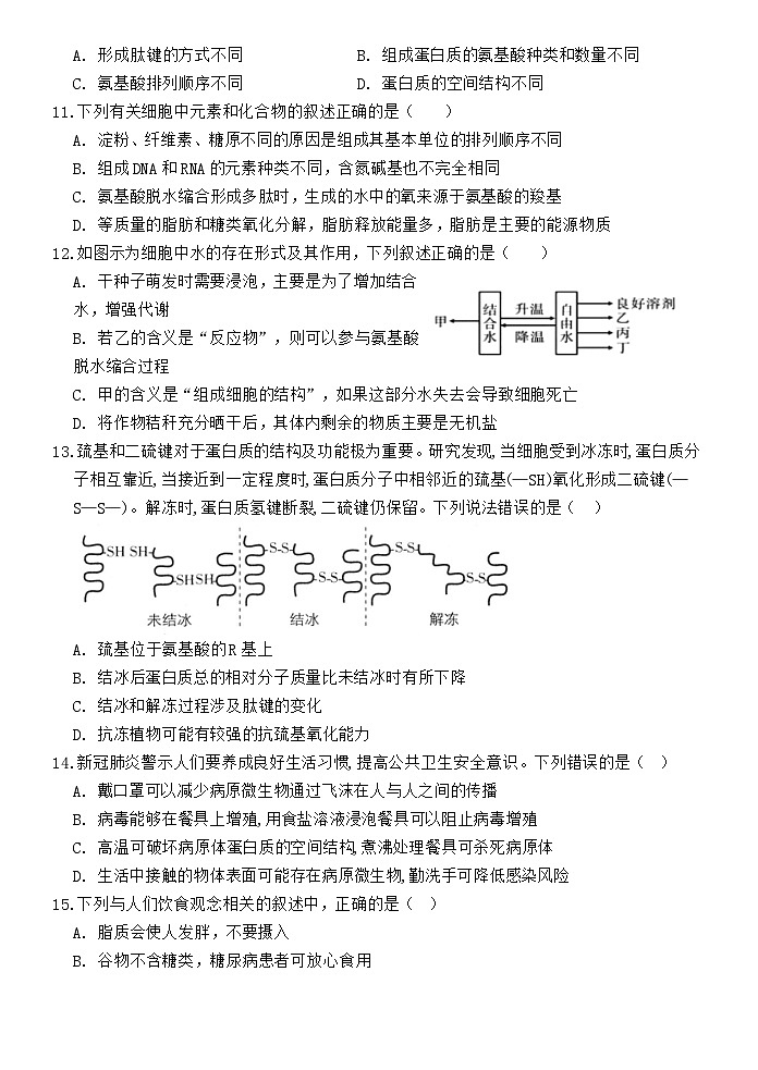 广东省江门市培英高级中学2024-2025学年高一上学期期中考试生物试题03