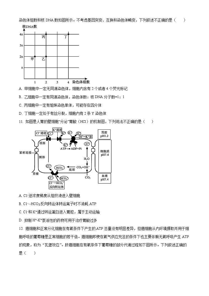 辽宁省大连市滨城高中联盟2024-2025学年高三上学期期中考试生物第3页