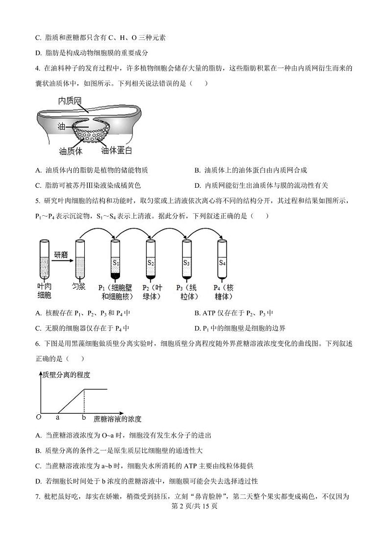 下关一中教育集团2024～2025学年高二年级上学期段考（一）生物第2页