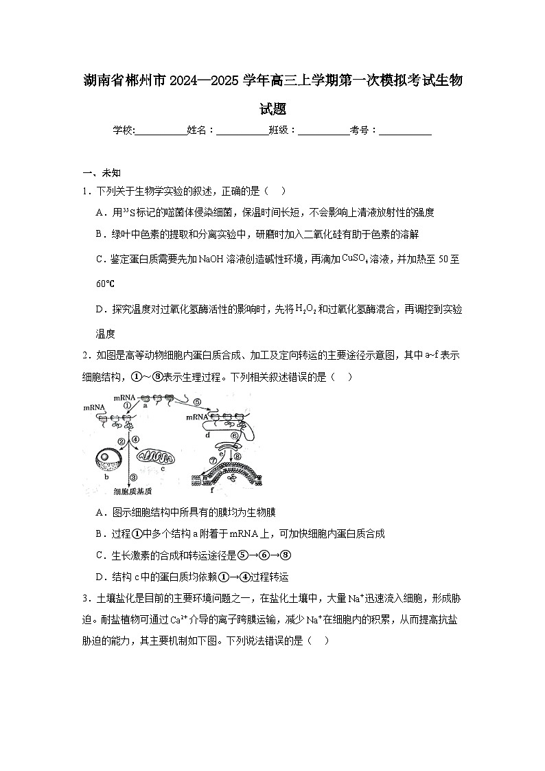 湖南省郴州市2024—2025学年高三上学期第一次模拟考试生物试题第1页