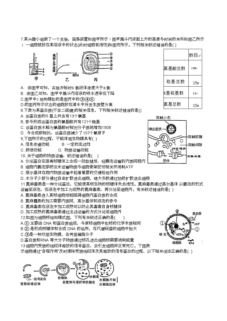 山东省淄博市第五中学2023-2024学年高一上学期期中测试生物试题第2页