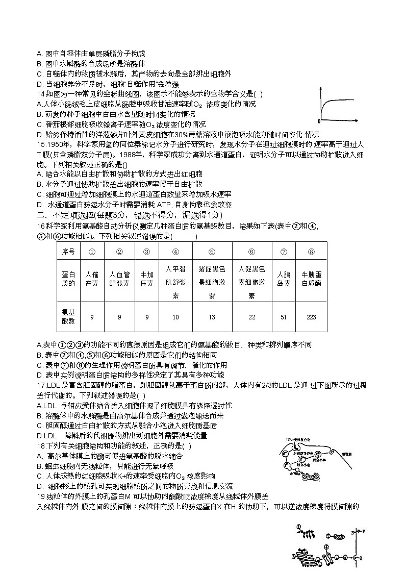 山东省淄博市第五中学2023-2024学年高一上学期期中测试生物试题第3页