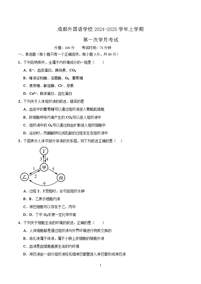 成都外国语学校2024-2025学年第一次学月考试第1页