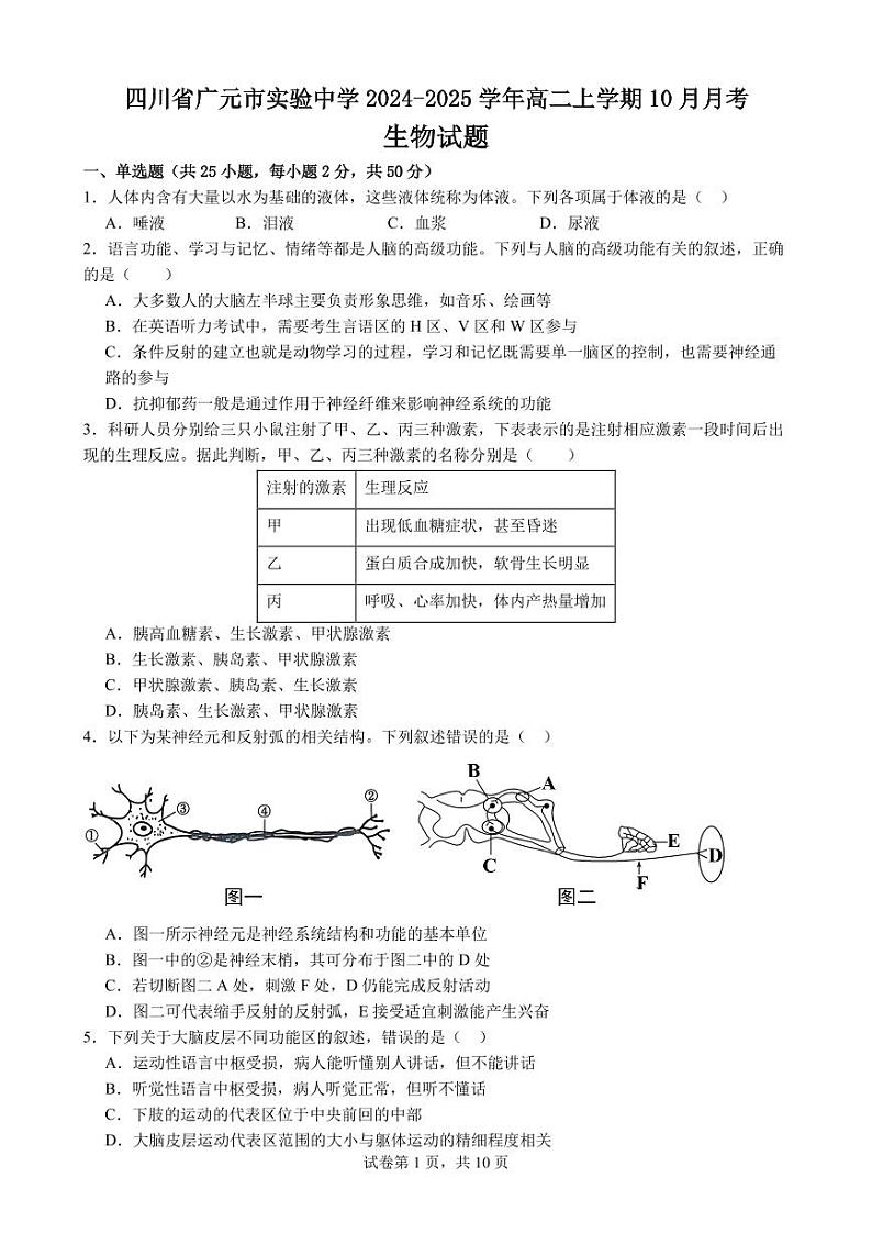 四川省广元市实验中学2024-2025学年高二上学期10月月考生物试题   原卷版第1页