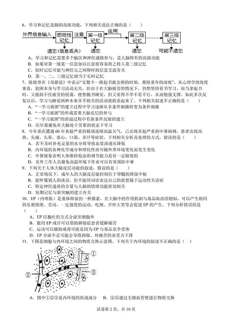 四川省广元市实验中学2024-2025学年高二上学期10月月考生物试题   原卷版第2页
