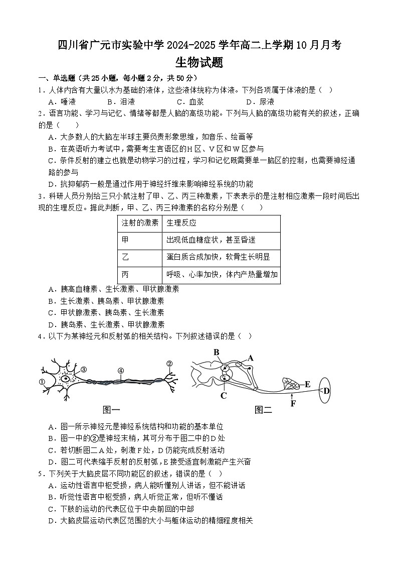 四川省广元市实验中学2024-2025学年高二上学期10月月考生物试卷第1页