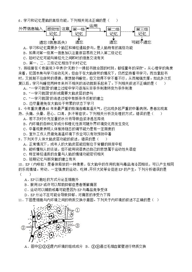 四川省广元市实验中学2024-2025学年高二上学期10月月考生物试卷第2页
