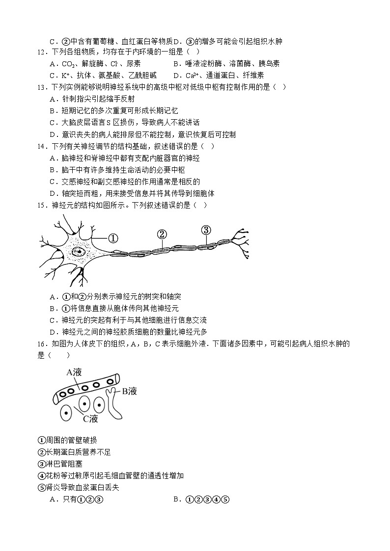 四川省广元市实验中学2024-2025学年高二上学期10月月考生物试卷第3页