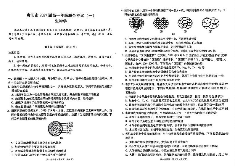 贵州省贵阳市2024-2025学年高一上学期10月联合考试（一）生物试卷第1页
