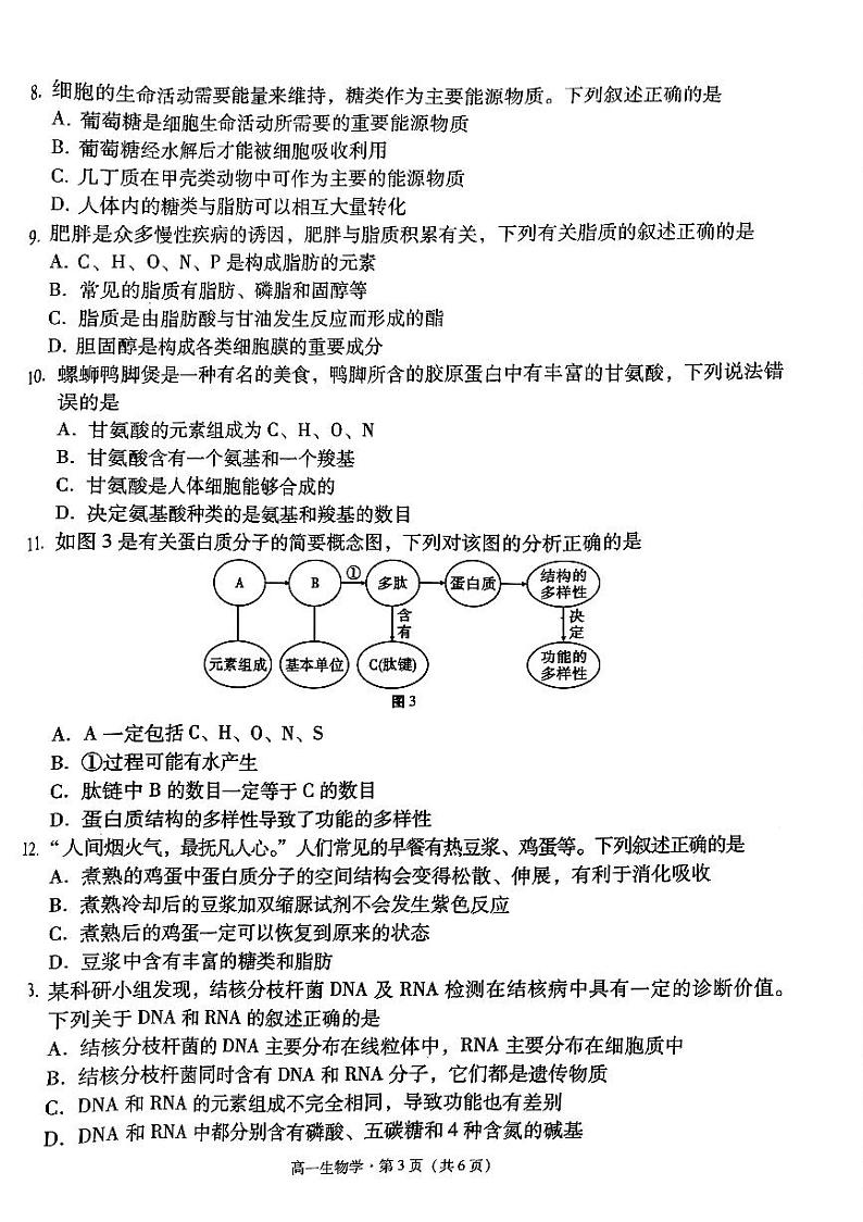 贵州省贵阳市2024-2025学年高一上学期10月联合考试（一）生物试卷第2页