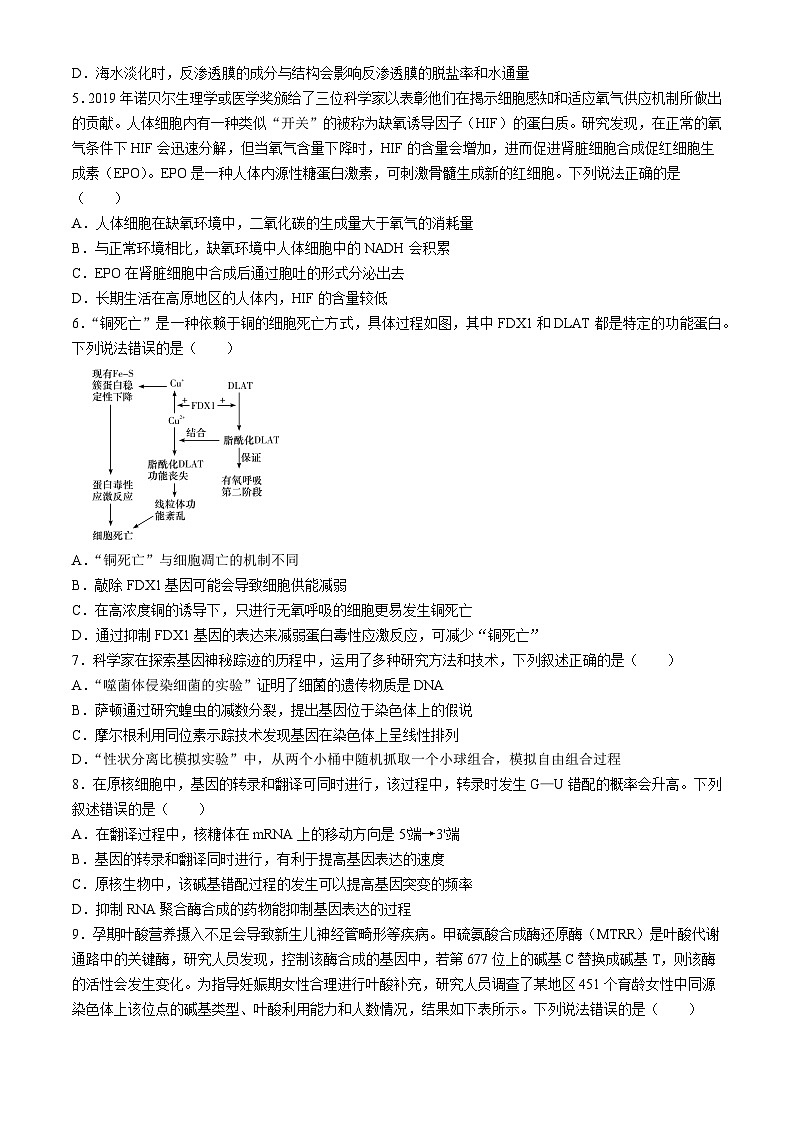 湖南省长沙市第一中学2024-2025学年高三上学期月考（二）生物试卷（Word版附解析）02