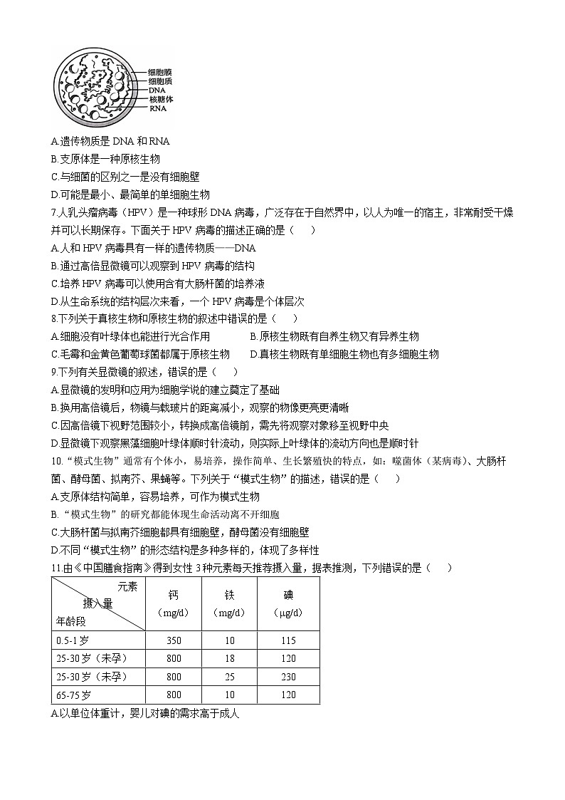 重庆市江北区鲁能巴蜀中学校2024-2025学年高一上学期10月月考生物试题第2页