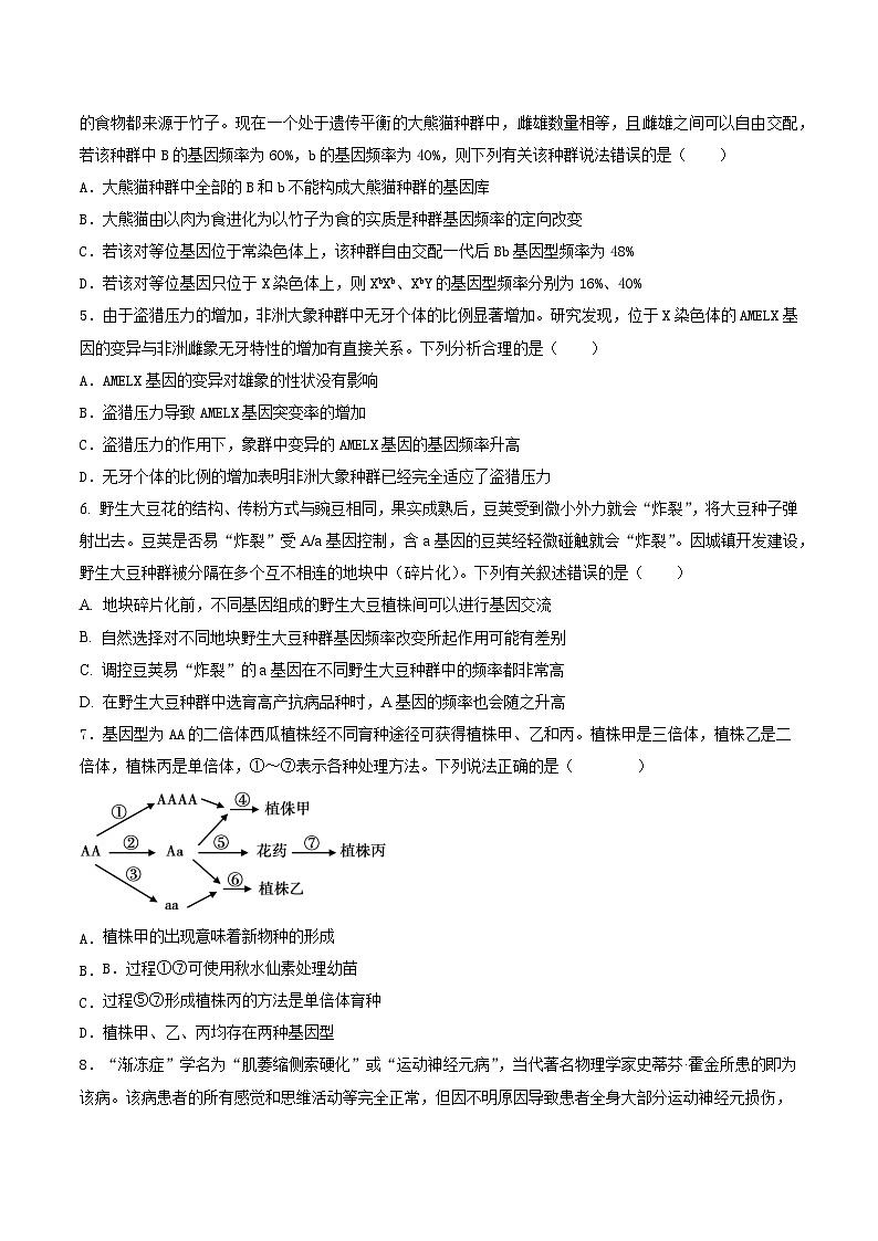 湖北省武汉市第四中学2024-2025学年高二上学期10月月考生物试题第2页