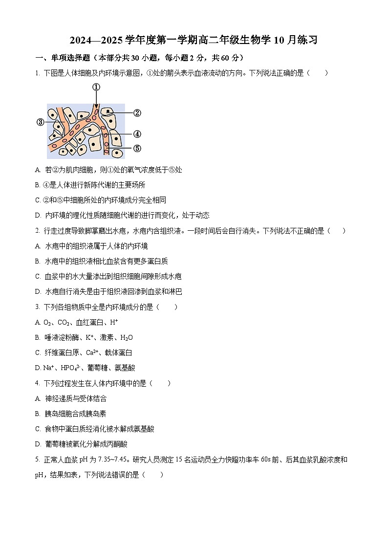 北京理工大学附属中学2024-2025学年高二上学期10月月考生物试卷（Word版附解析）01