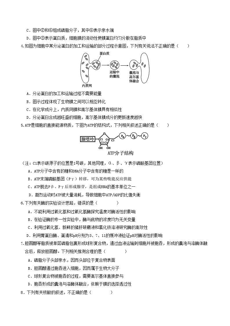 （浙江专用，浙科版2019第1_3章第三节）【测试范围：浙科版2019第1~3章第三节】（考试版A4）（浙江专用）第2页