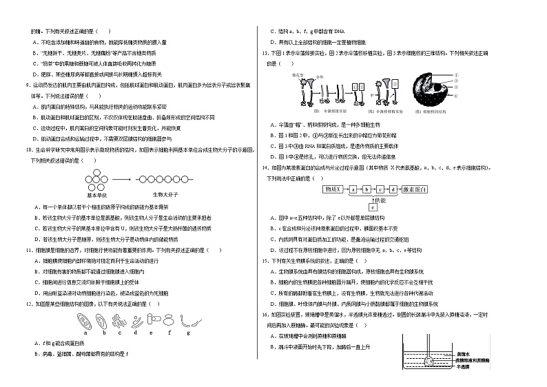 （单选版，人教版2019第1_4章）01【测试范围：人教版2019第1~4章】（考试版A3）（新高考通用）第2页