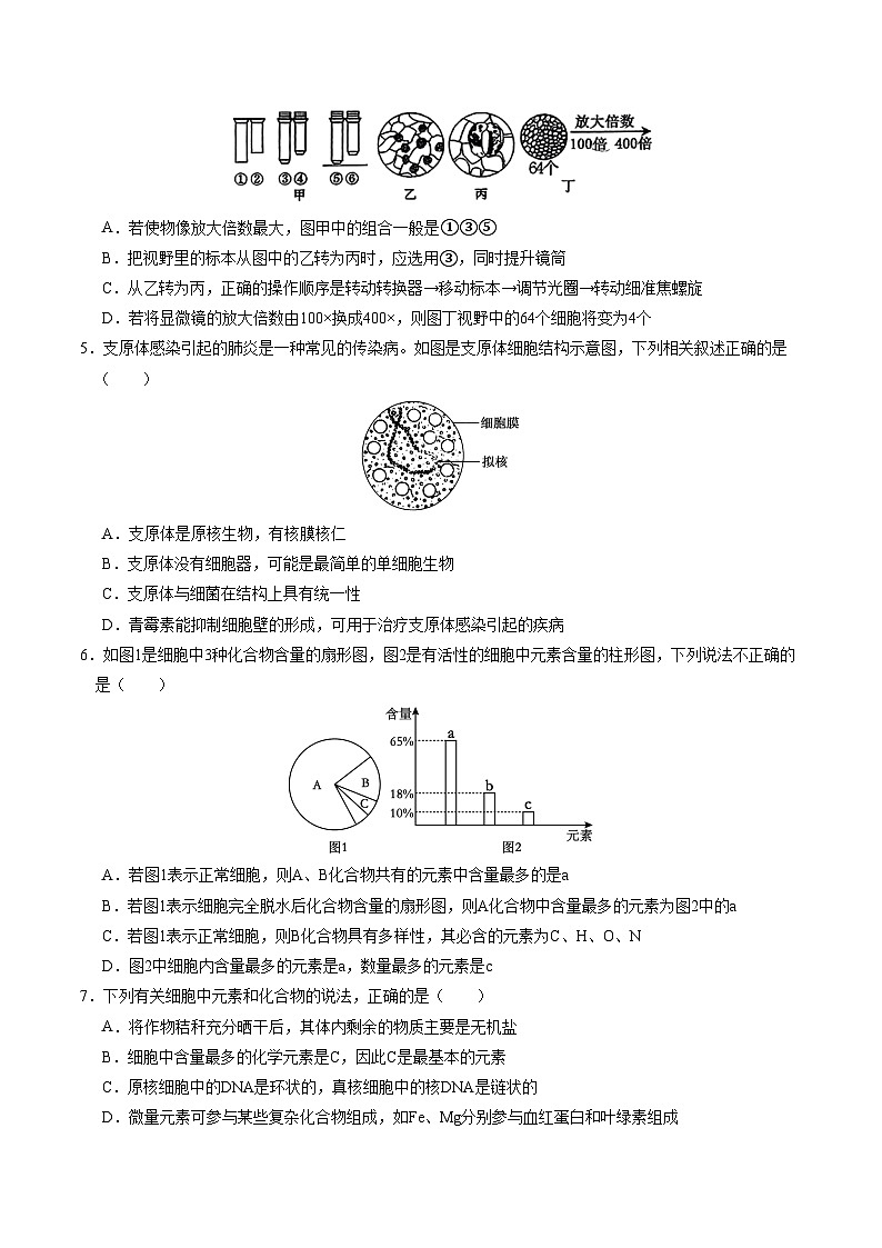（单选版，人教版2019第1_4章）01【测试范围：人教版2019第1~4章】（考试版A4）（新高考通用）第2页
