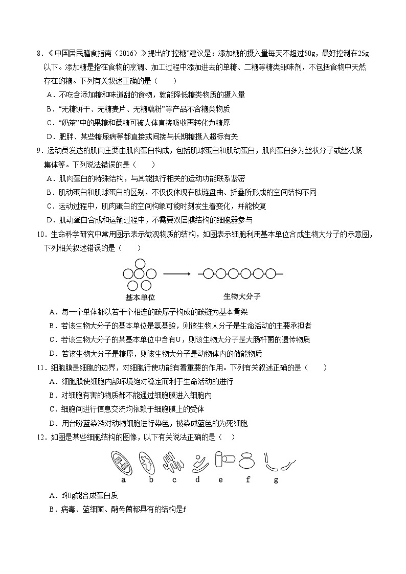 （单选版，人教版2019第1_4章）01【测试范围：人教版2019第1~4章】（考试版A4）（新高考通用）第3页