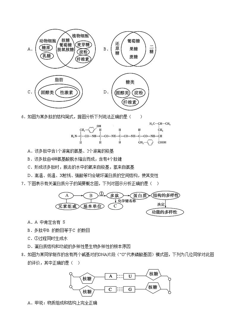 （北京专用，第1_4章）【测试范围：第1~4章】（考试版A4）（北京专用）第2页