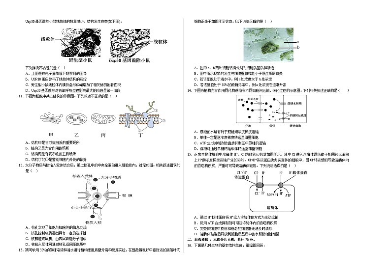 （北京专用，第1_4章）【测试范围：第1~4章】（考试版A3）（北京专用）第2页