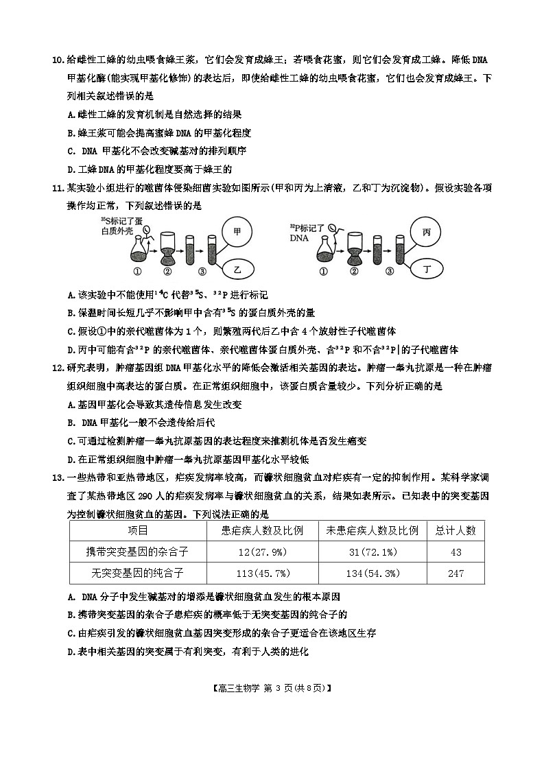 内蒙古自治区赤峰市多校联考2024-2025学年高三上学期10月月考生物试题03