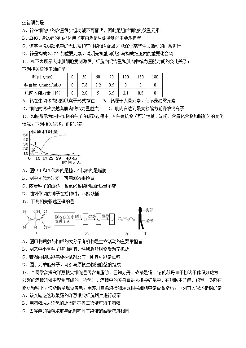 重庆市第一中学校2024-2025学年高一上学期第一次月考生物试题第3页