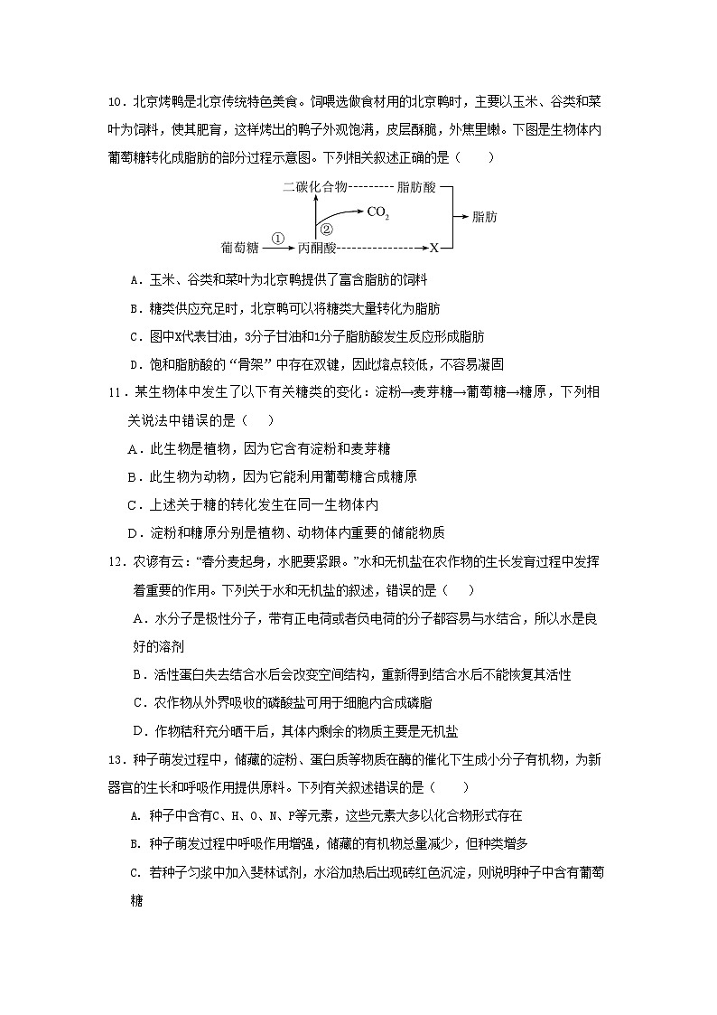 湖北省荆州市江陵中学2024-2025学年高一上学期10月月考生物试题第3页