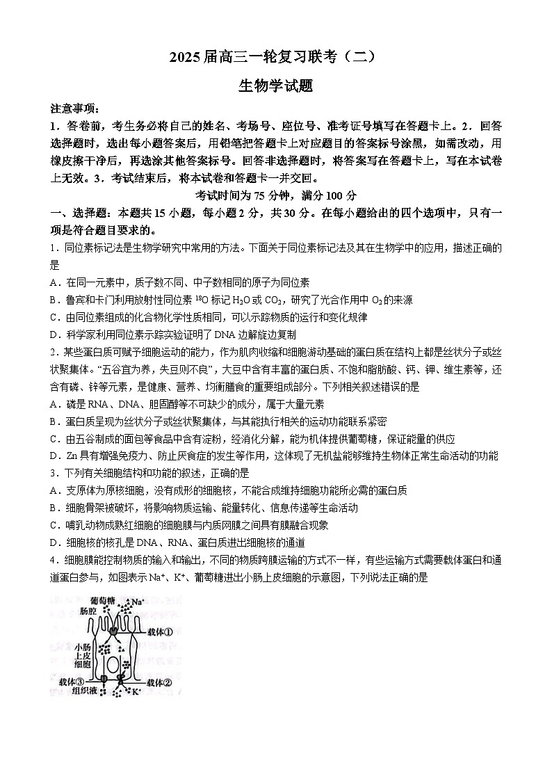 黑龙江省龙东地区2024-2025学年高三上学期一轮复习联考（期中）生物试卷（二）01