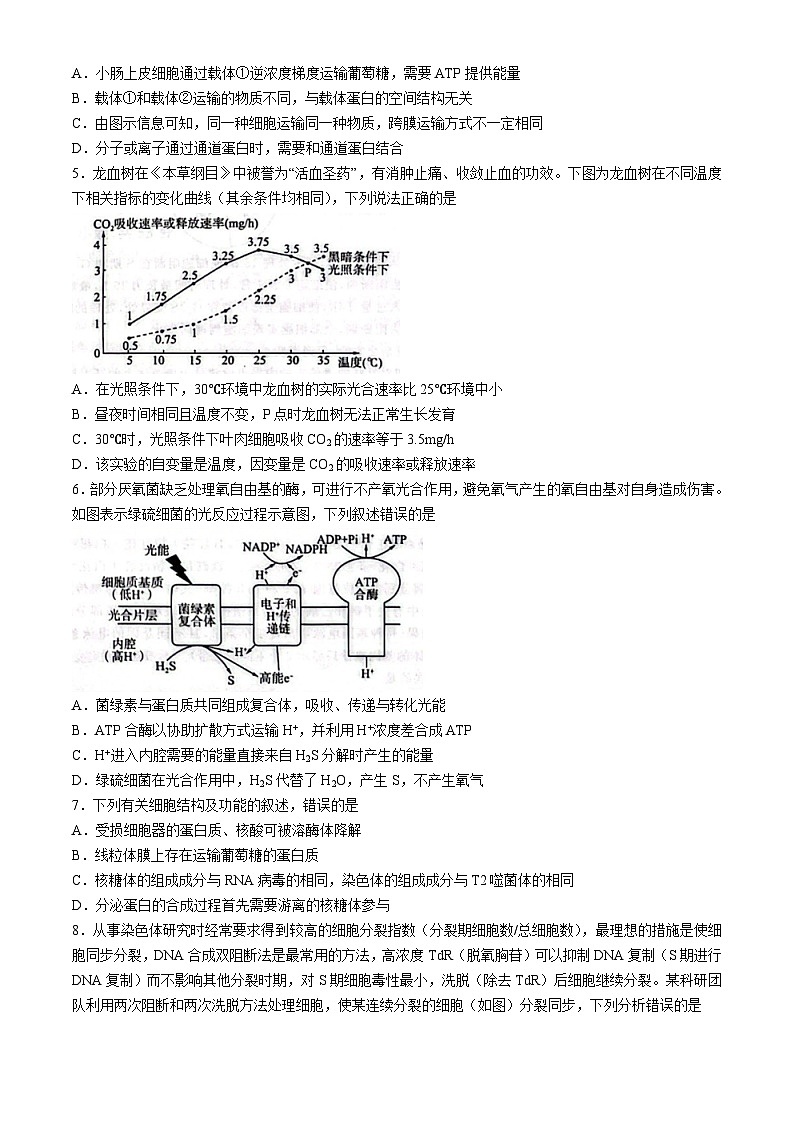 黑龙江省龙东地区2024-2025学年高三上学期一轮复习联考（期中）生物试卷（二）02
