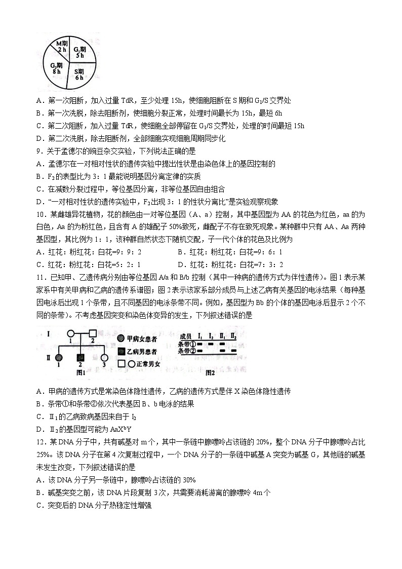 黑龙江省龙东地区2024-2025学年高三上学期一轮复习联考（期中）生物试卷（二）03