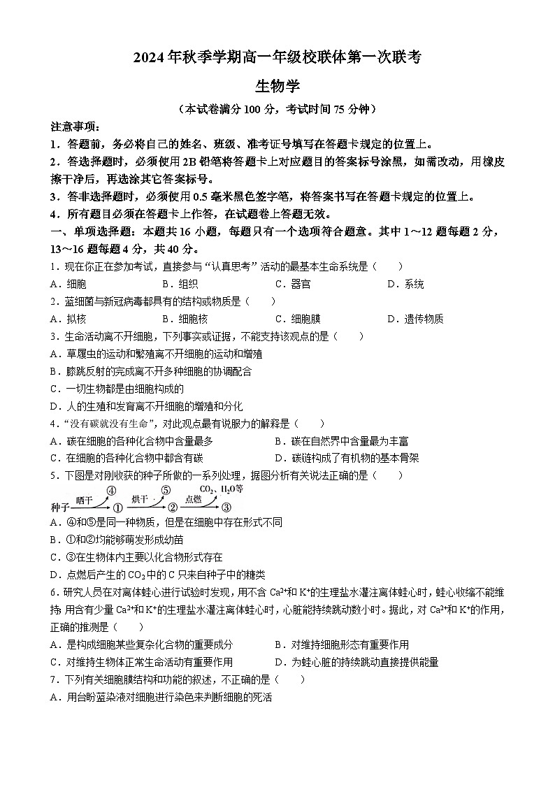 广西壮族自治区河池市十校2024-2025学年高一上学期10月第一次联考生物试题(无答案)第1页