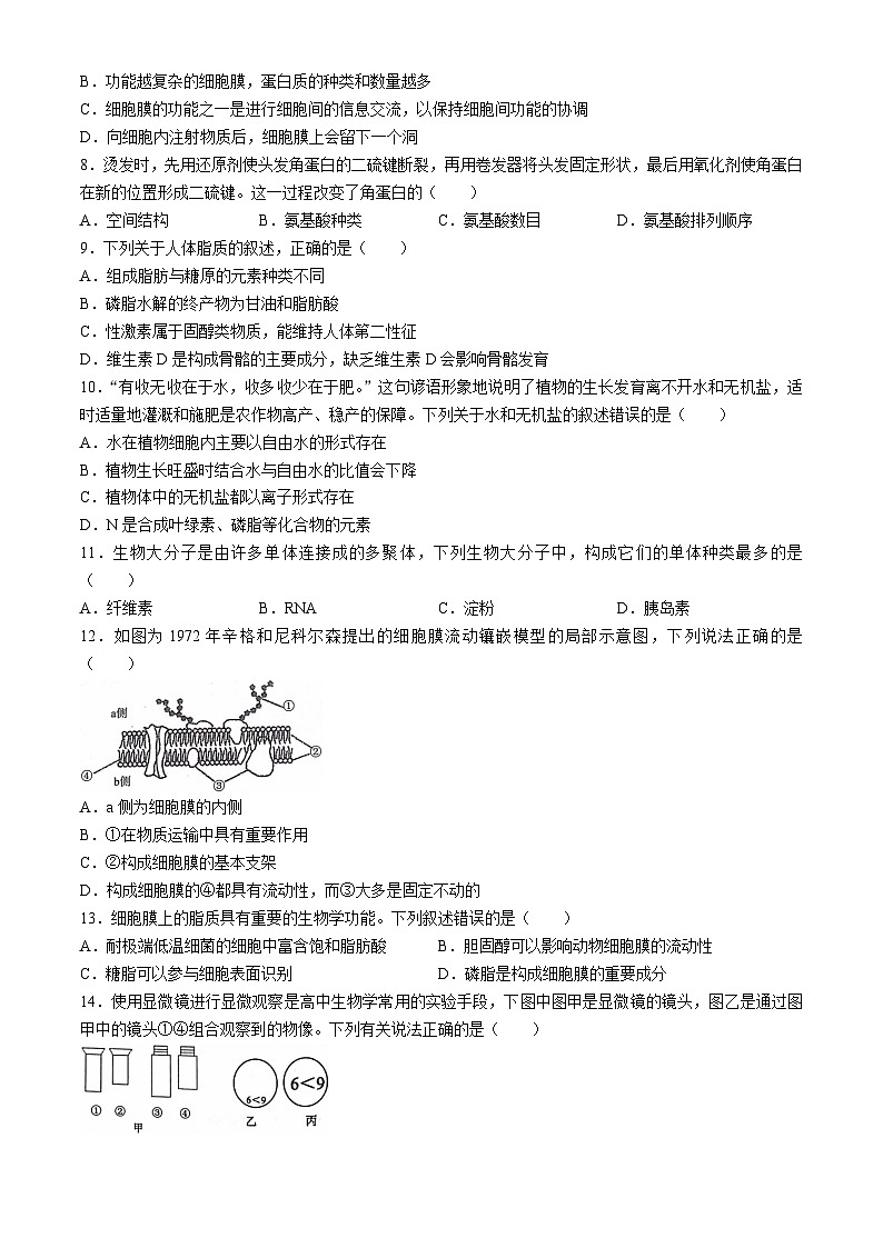 广西壮族自治区河池市十校2024-2025学年高一上学期10月第一次联考生物试题(无答案)第2页