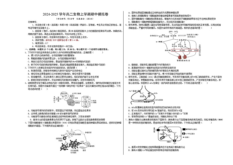 （浙科版2019，选择性必修1第1~4章）【测试范围：浙科版2019选择性必修一第1~4章】（考试版A3）第1页