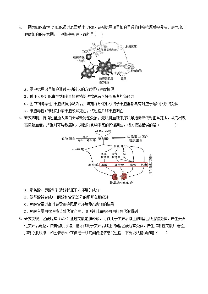 （浙科版2019，选择性必修1第1~4章）【测试范围：浙科版2019选择性必修一第1~4章】（考试版A4）第2页
