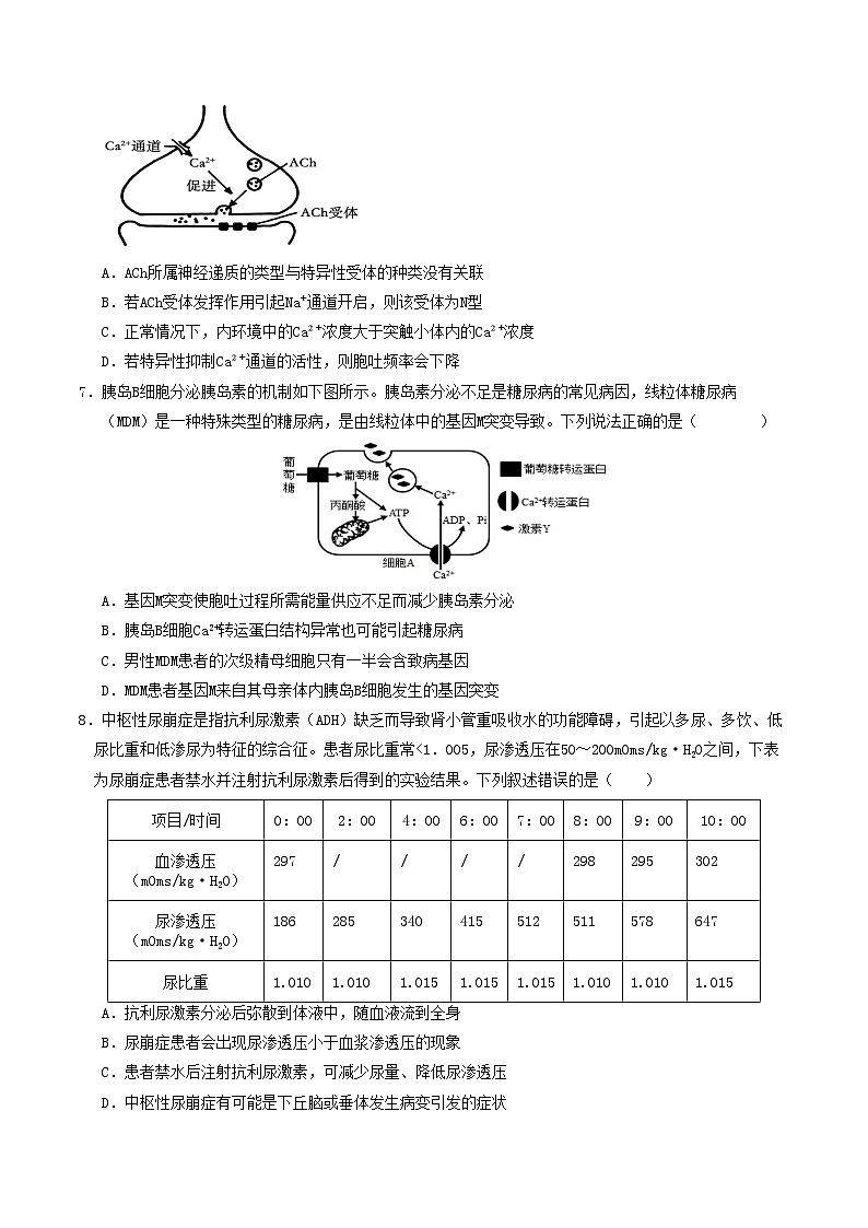 （浙科版2019，选择性必修1第1~4章）【测试范围：浙科版2019选择性必修一第1~4章】（考试版A4）第3页