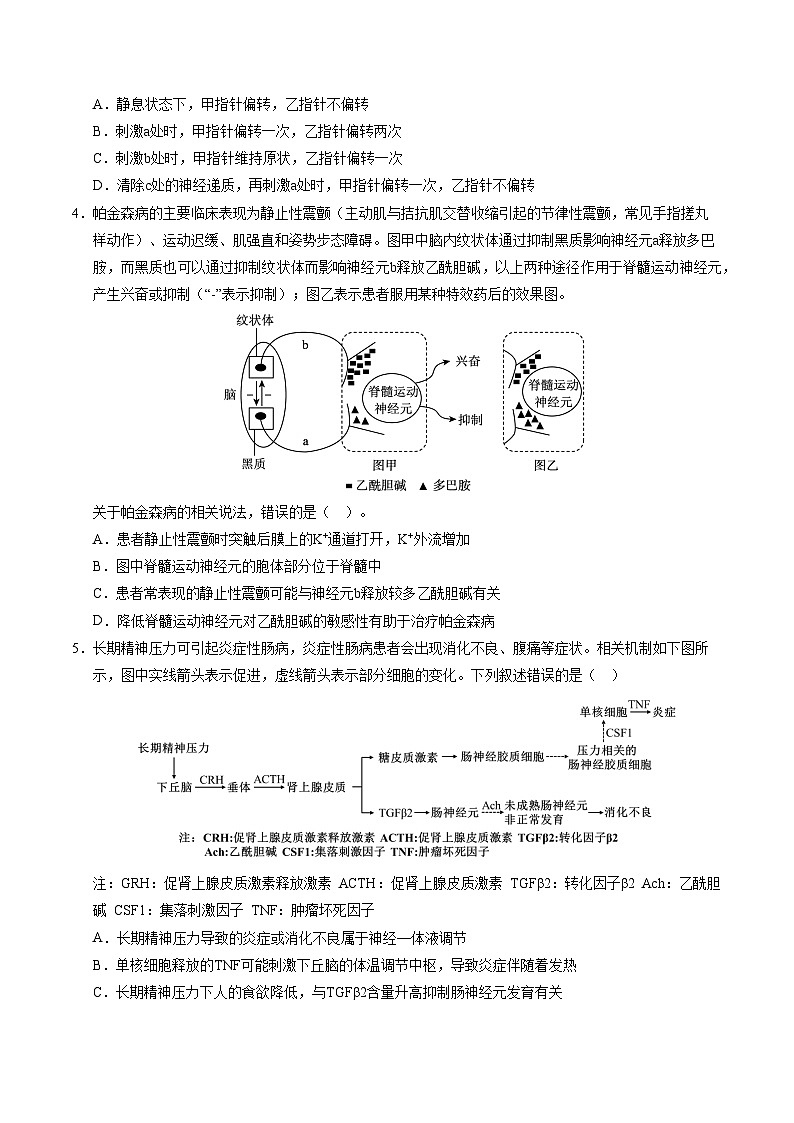 （天津专用，第1~5章）【测试范围：第1~5章】（考试版A4）（天津专用）第2页