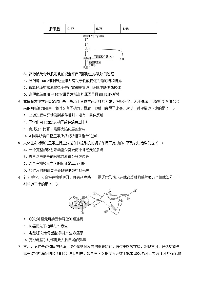 （人教版2019，选择性必修1）02（考试版A4）（人教版2019）第2页