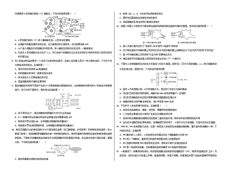 （人教版2019，选择性必修1）02（考试版A3）（人教版2019）第2页