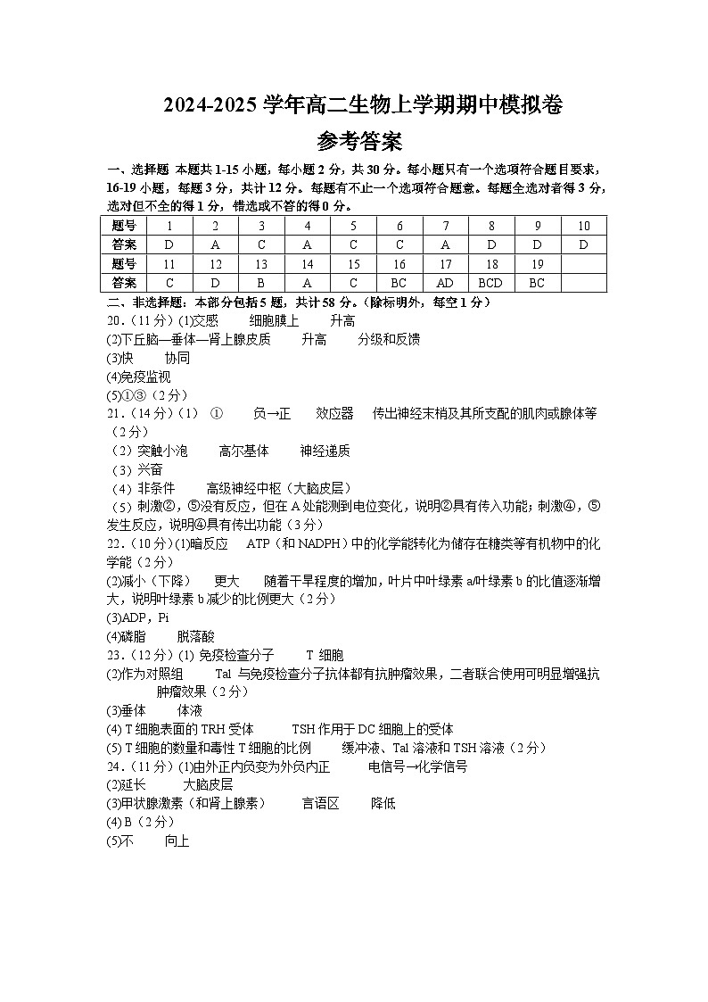 2024-2025学年高二上学期期中模拟考试生物（江苏专用，选择性必修1）试卷（Word版附解析）01